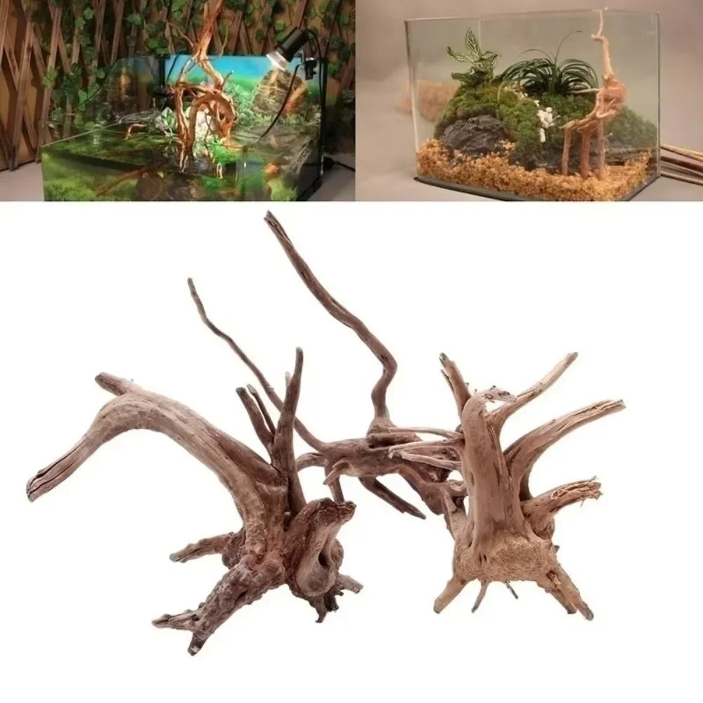 Aquarium Fish Gallery - Decoração de Aquário em Madeira Natural