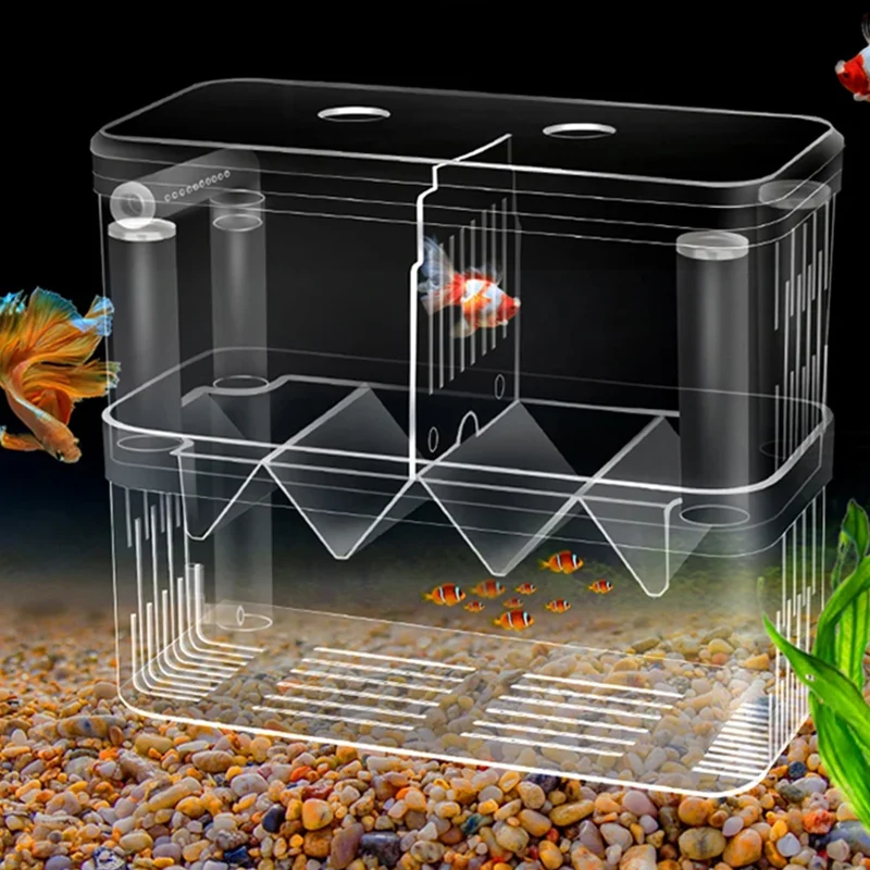 Xl Aquarium Fish - Caixa de isolamento para criação de