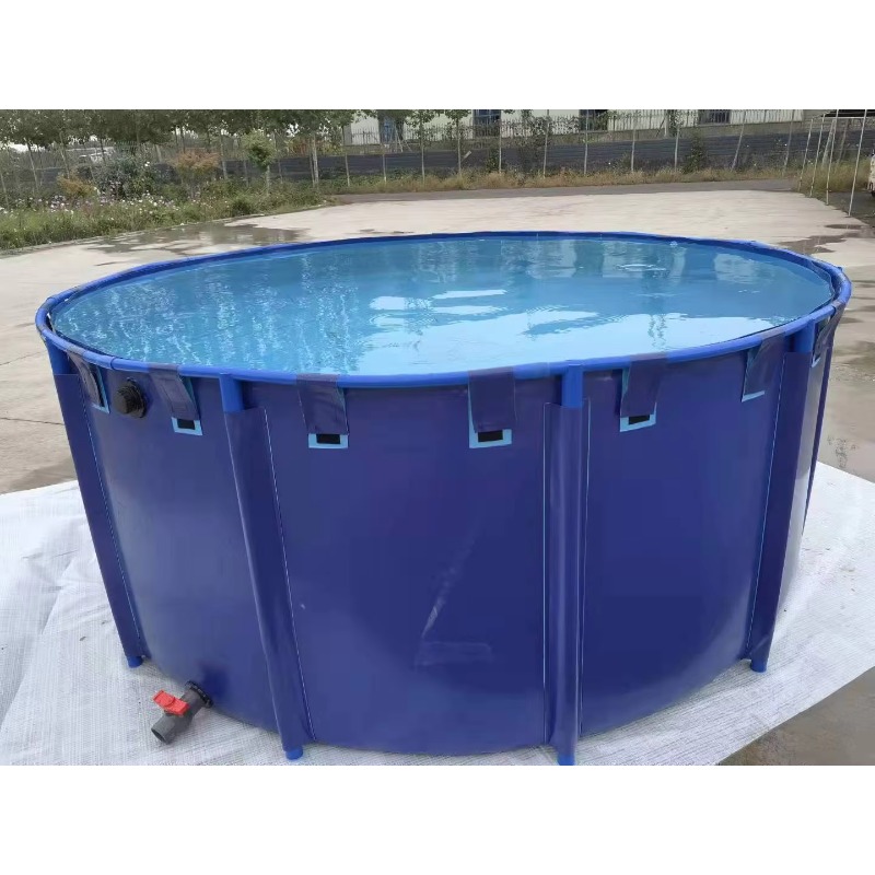 Aquarium Fish Big Size - Atacado: Tanque de Peixes de PVC