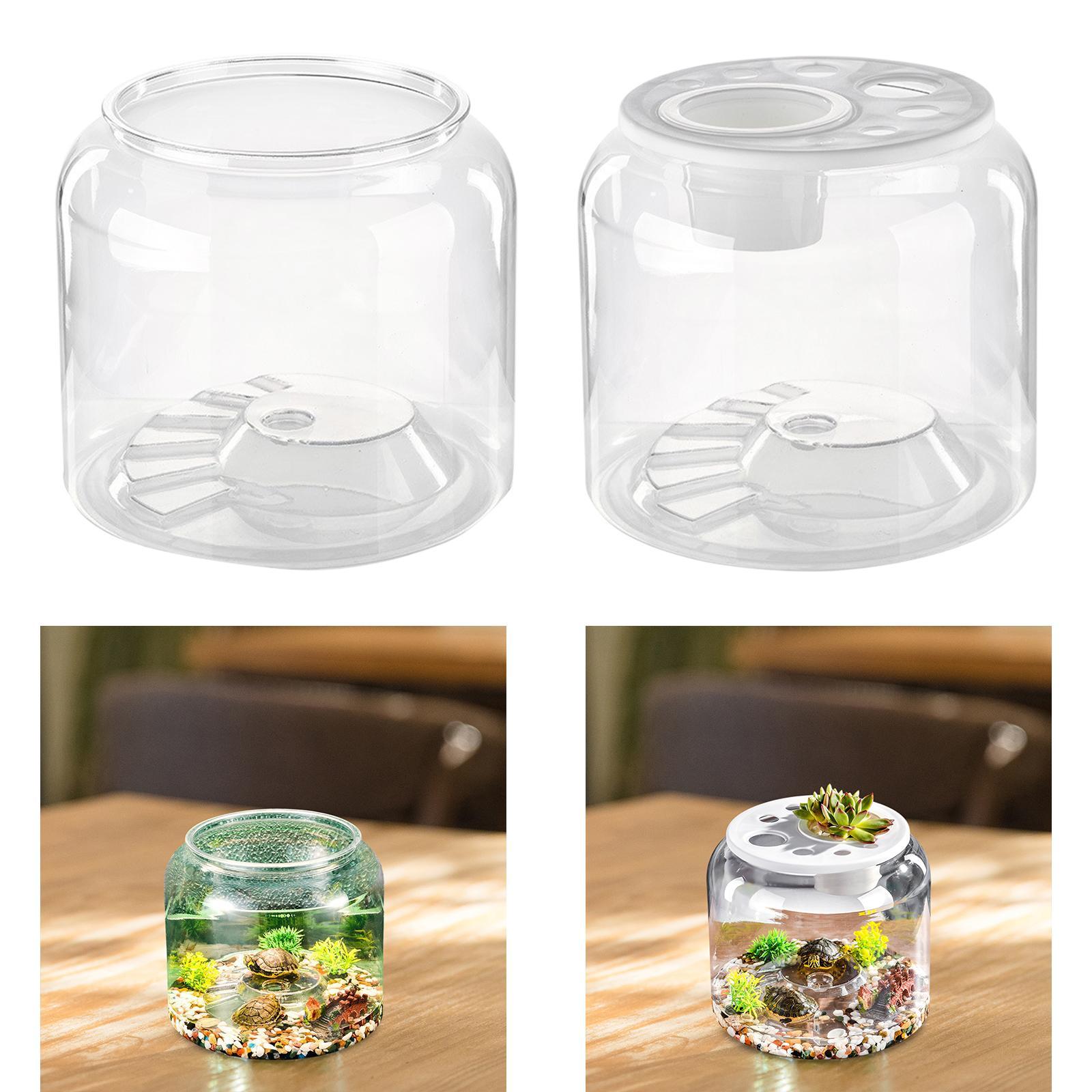 Draw Fish Aquarium - Aquário Transparente de Alta Capacidade para