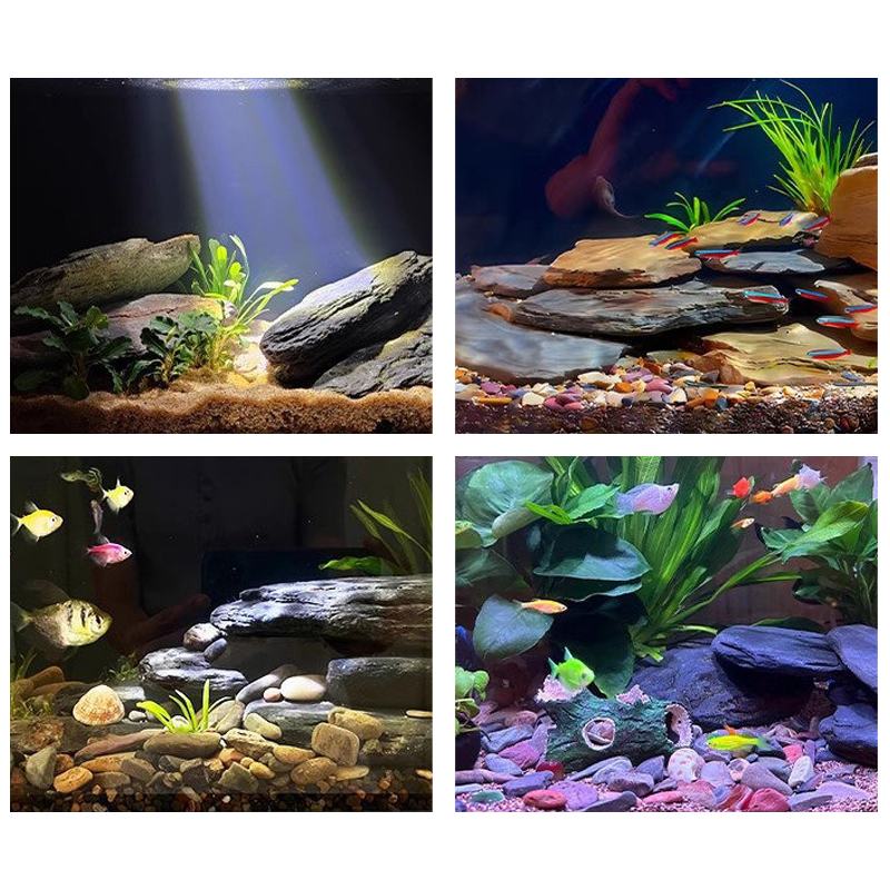 Kit de Pedras para Paisagismo  - Aquarium Fish Gallery avaliação e preço