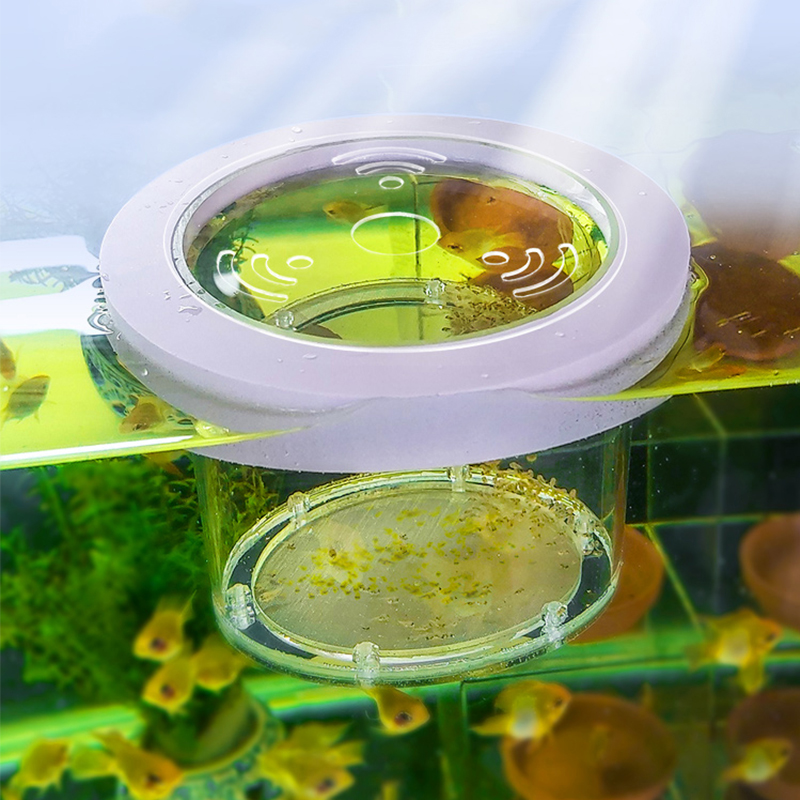 Caixa de isolamento de criação - Aquarium Fish And Supplies avaliação e preço