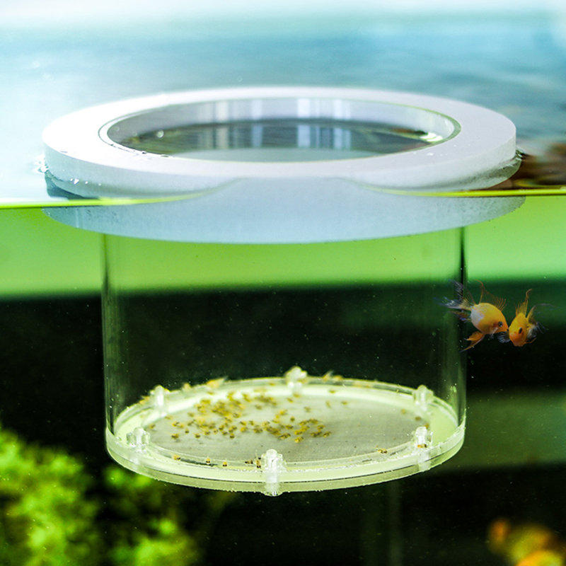 Caixa de isolamento de criação - Aquarium Fish And Supplies avaliação e preço