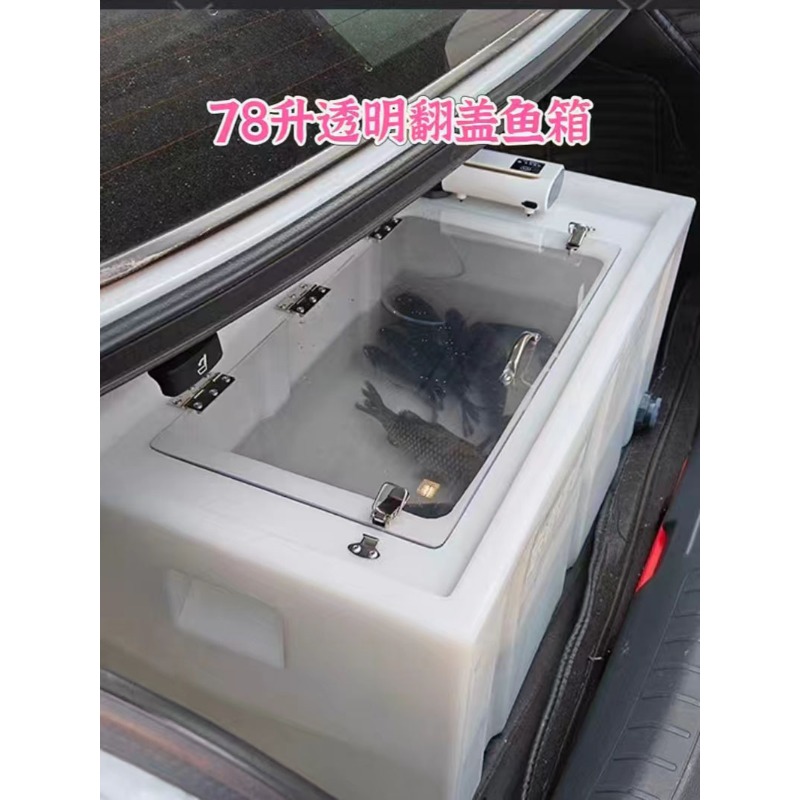 Caixa de peixes vivos para mon - Aquarium Fish Fishing avaliação e preço