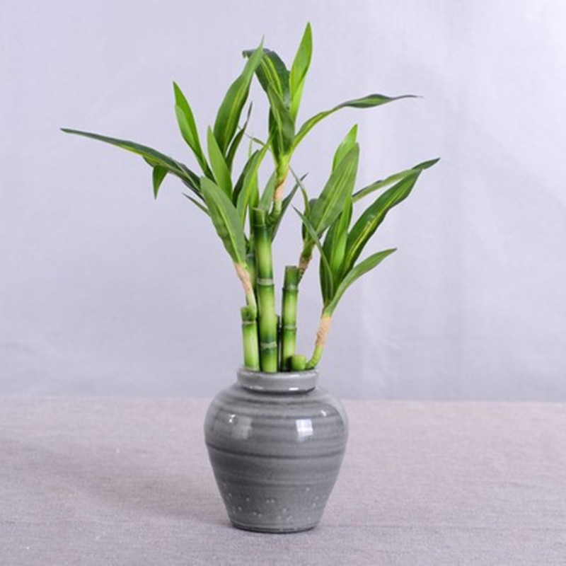 Novo 40cm rftificial sorte bam - Aquarium Fish Gallery avaliação e preço