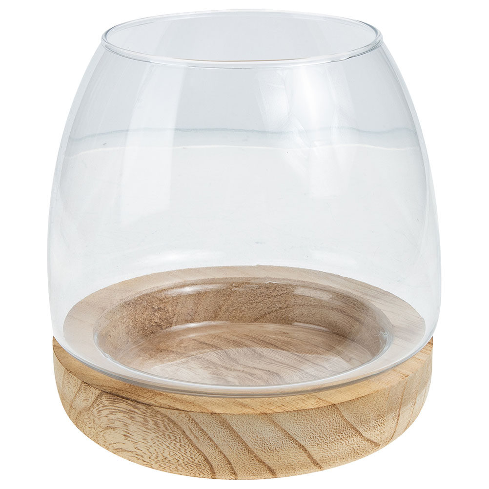 1 Conjunto de Terrário Hidropô - Aquarium Fish Unique avaliação e preço