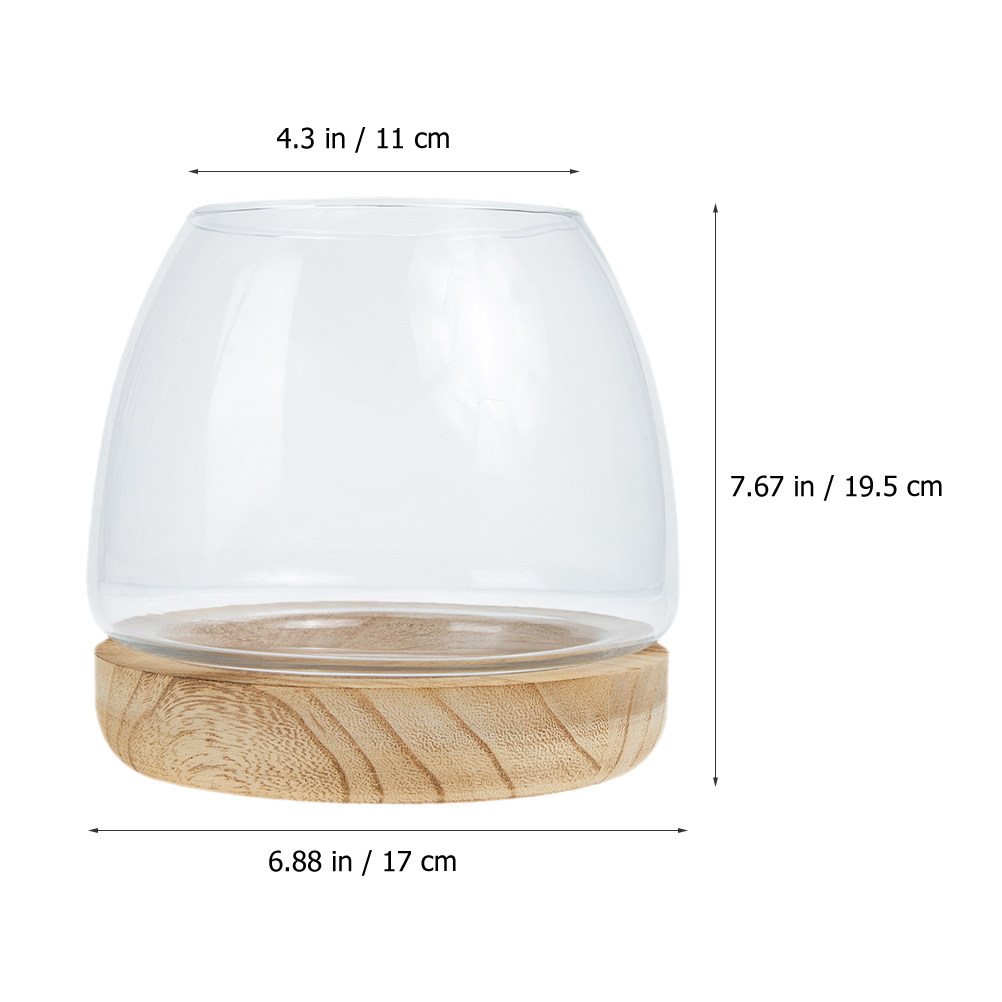 1 Conjunto de Terrário Hidropô - Aquarium Fish Unique avaliação e preço