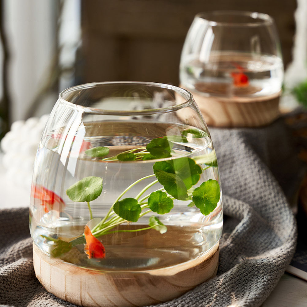 1 Conjunto de Terrário Hidropô - Aquarium Fish Unique avaliação e preço