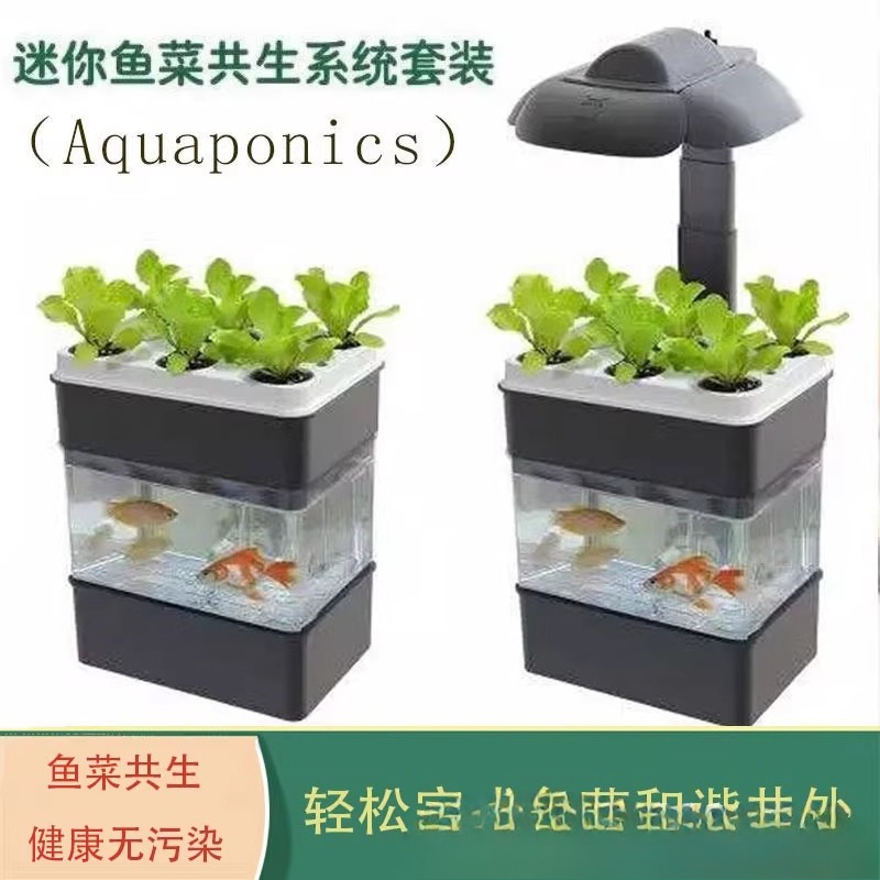 Exportação de aquário para pei - Aquarium Fish Exporter avaliação e preço