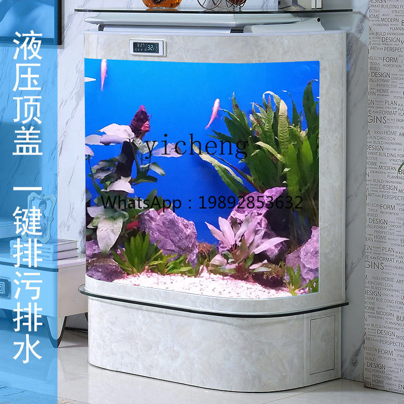 Aquário XL de vidro ecológico  - Xl Aquarium Fish avaliação e preço