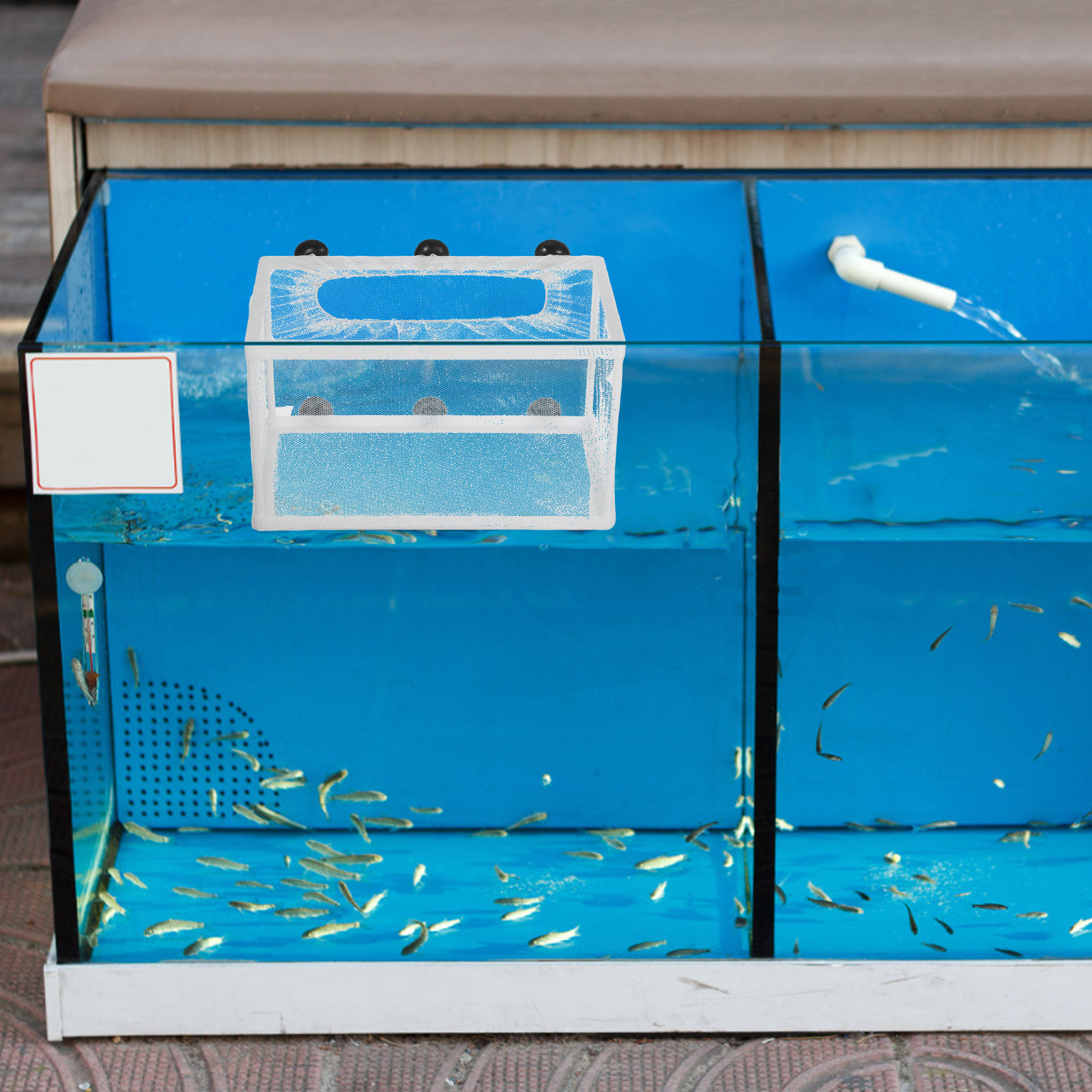 Rede de Separação Grande para  - Aquarium Fish Big Size avaliação e preço