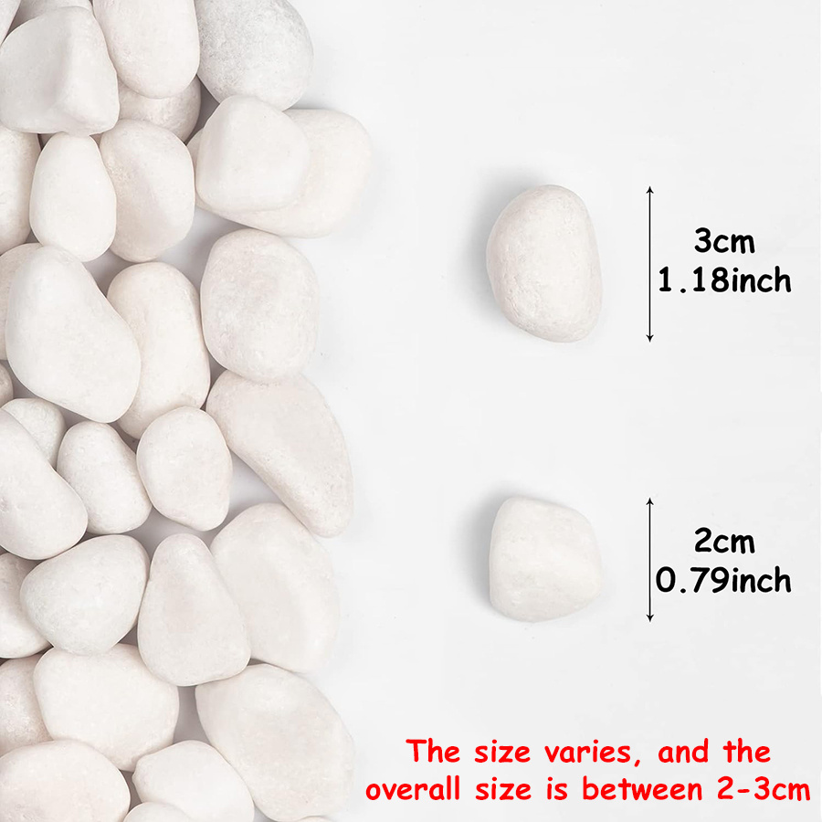 200/400g branco alto polido se - Aquarium Fish Gallery avaliação e preço