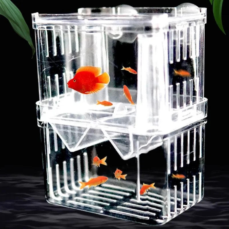 Caixa de isolamento para criaç - Xl Aquarium Fish avaliação e preço