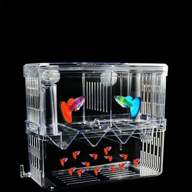 Caixa de isolamento para criaç - Xl Aquarium Fish avaliação e preço