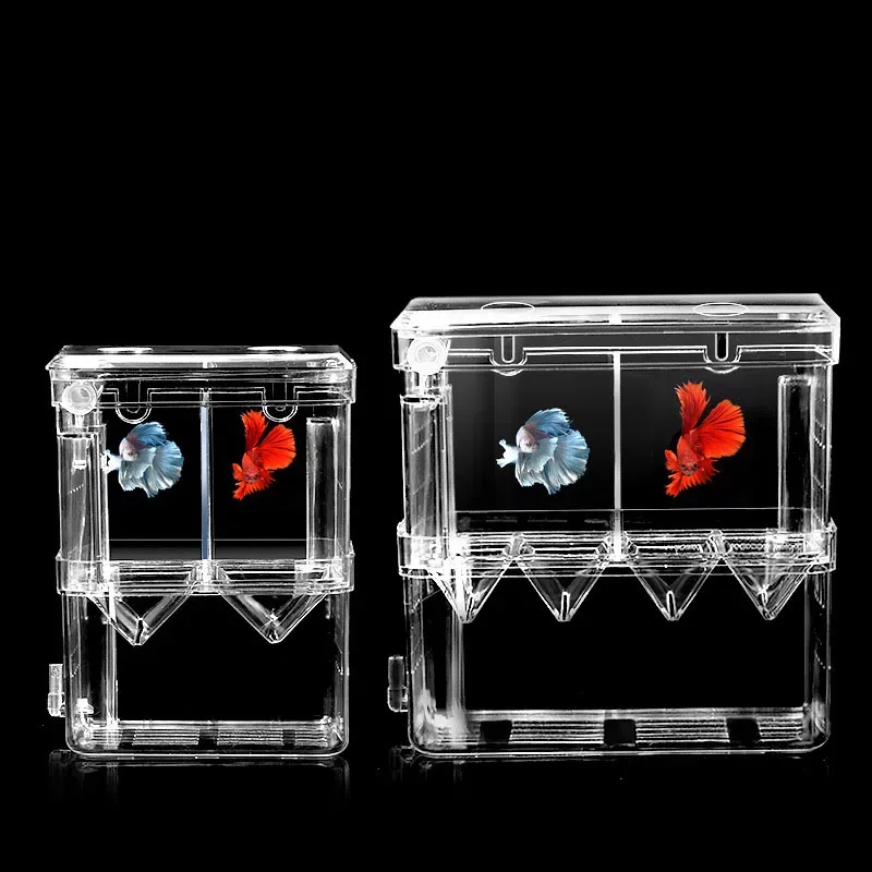 Caixa de isolamento para criaç - Xl Aquarium Fish avaliação e preço