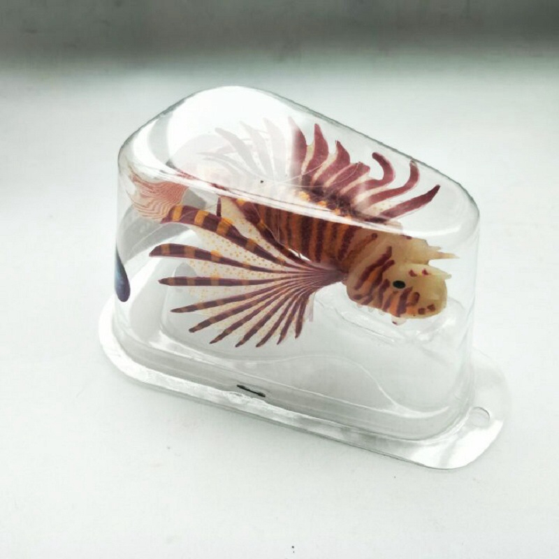 Novel and Funny Toy Fish Tank  - Aquarium Fish Exporter avaliação e preço