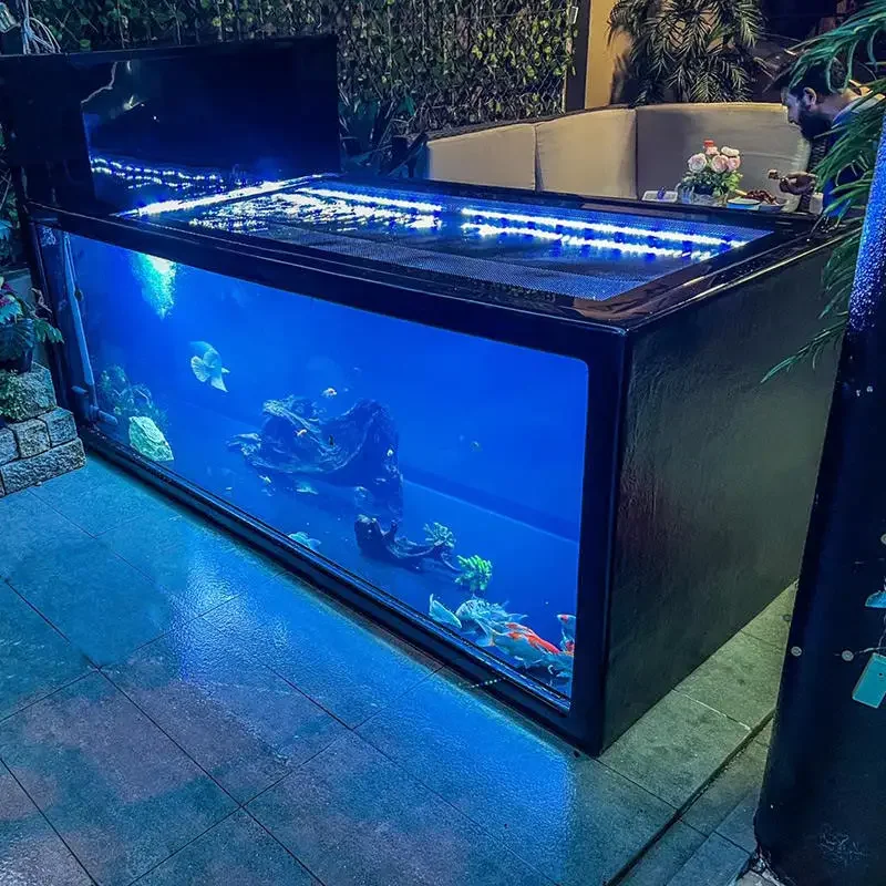 Direto da fábrica tamanho pers - Xl Aquarium Fish avaliação e preço