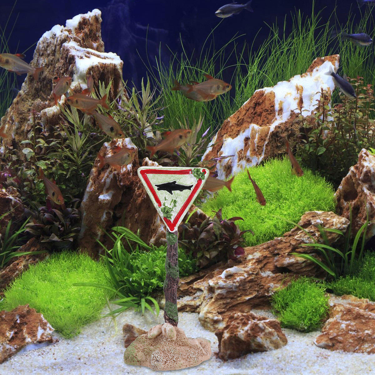 Placa de Aviso de Resina para  - Aquarium Fish Unique avaliação e preço