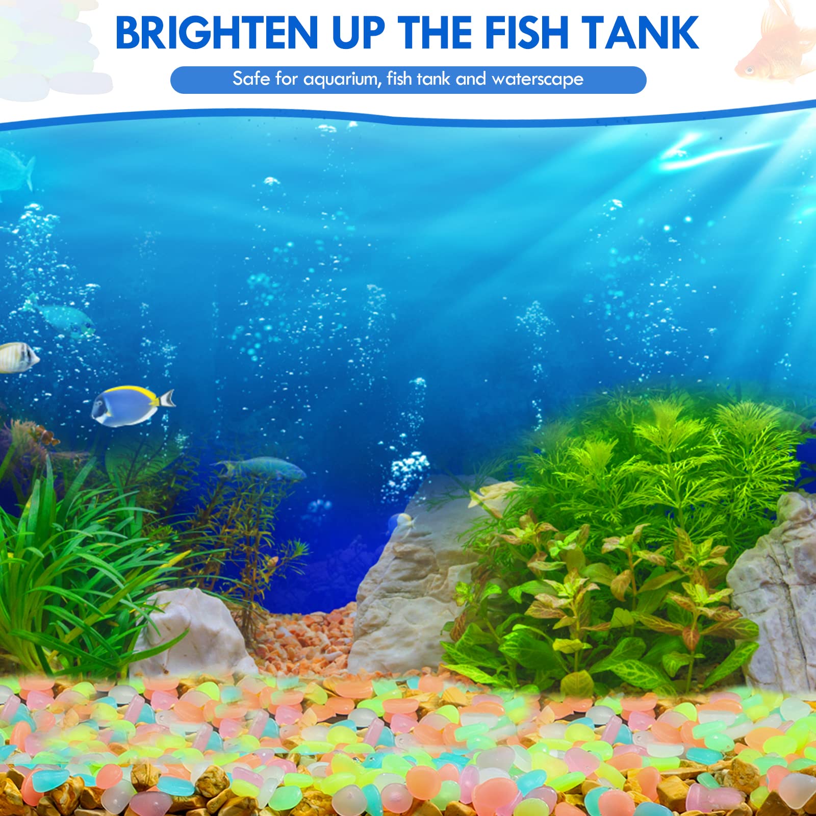 100 pçs brilham no escuro jard - Aquarium Fish Gallery avaliação e preço