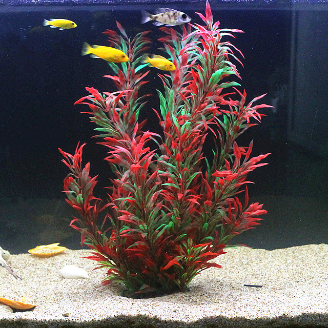 Plantas Artificiais Raras para - Aquarium Fish Gallery avaliação e preço