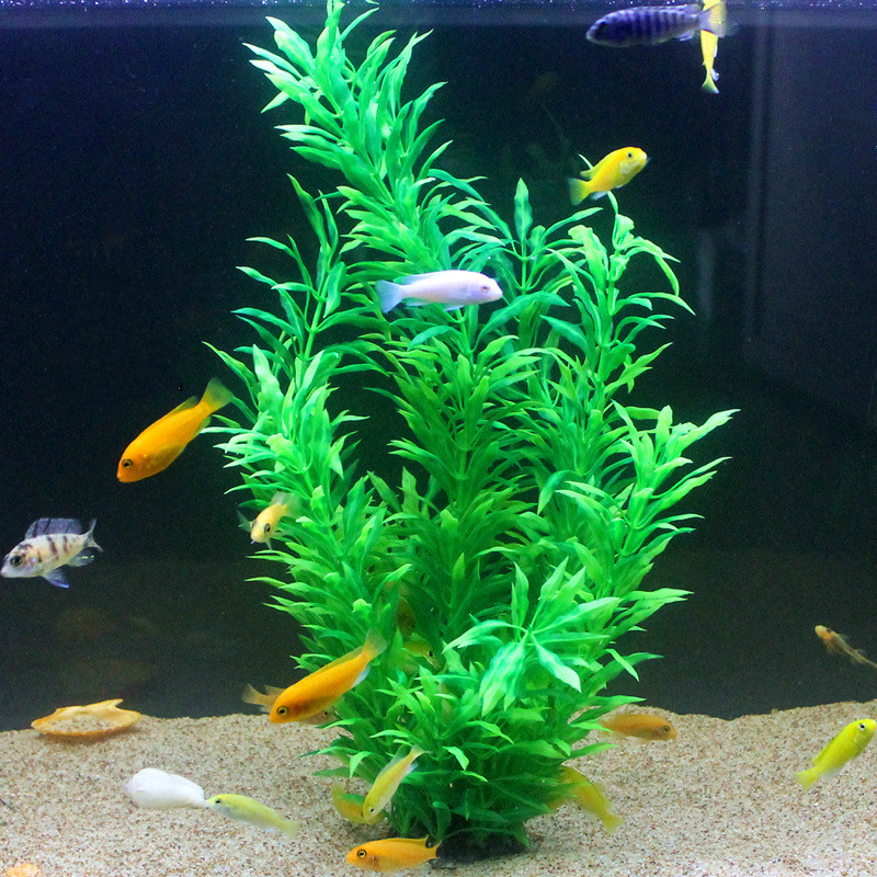 Plantas Artificiais Raras para - Aquarium Fish Gallery avaliação e preço