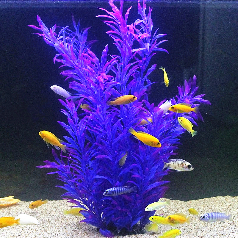 Plantas Artificiais Raras para - Aquarium Fish Gallery avaliação e preço