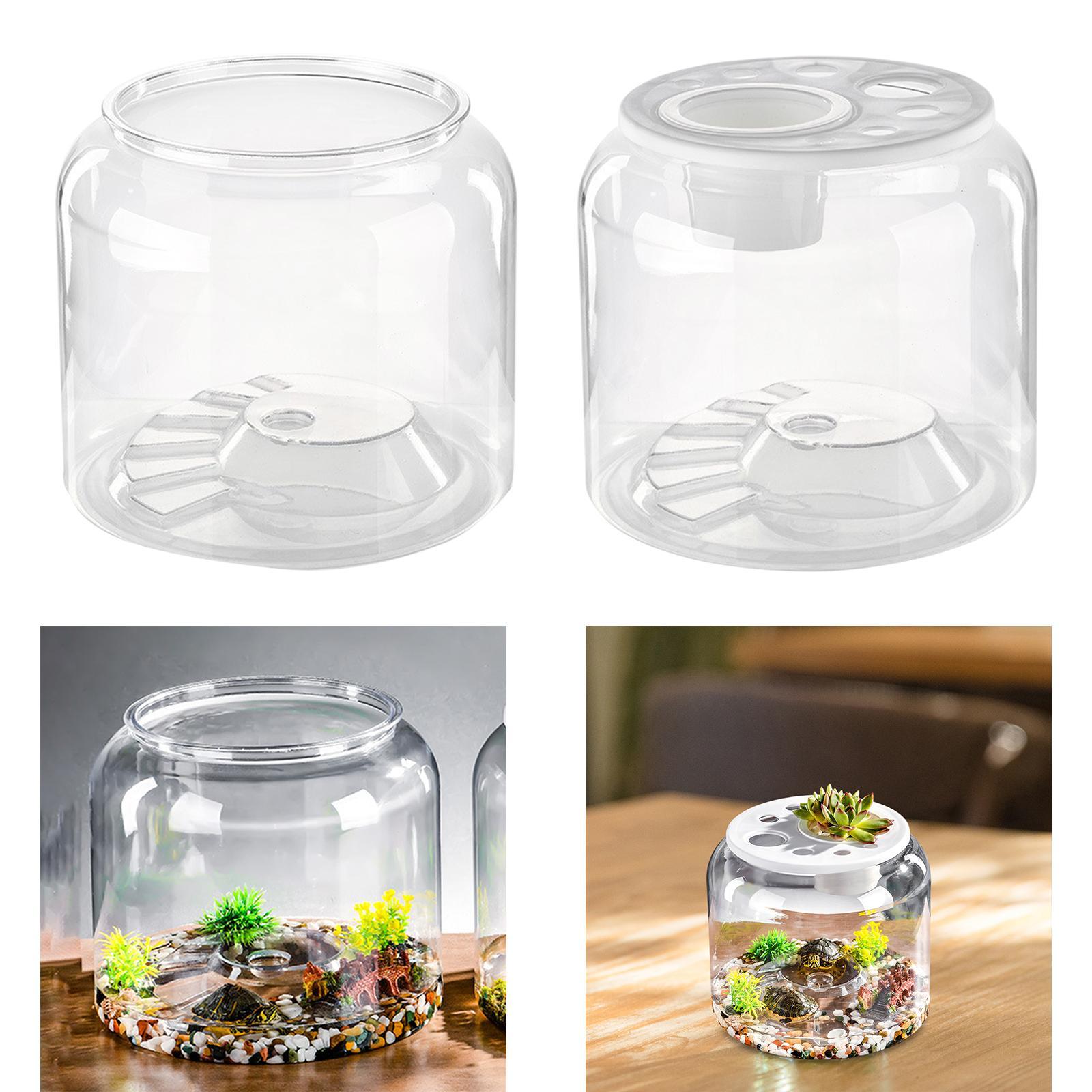 Habitat de Mesa para Tartaruga - Draw Fish Aquarium avaliação e preço