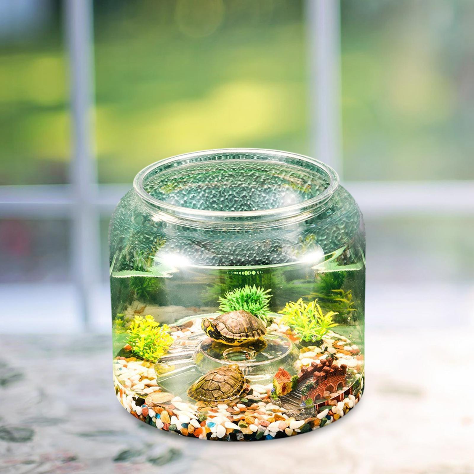 Habitat de Mesa para Tartaruga - Draw Fish Aquarium avaliação e preço