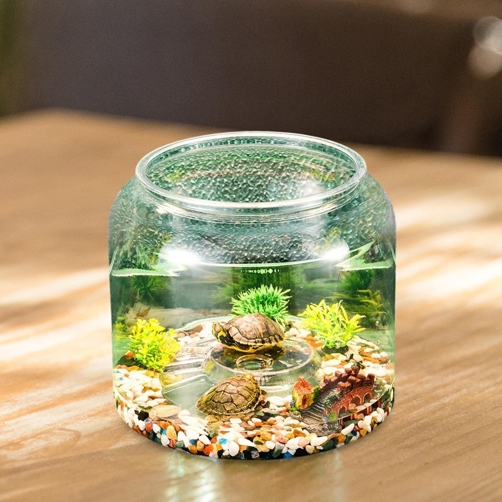 Habitat de Mesa para Tartaruga - Draw Fish Aquarium avaliação e preço