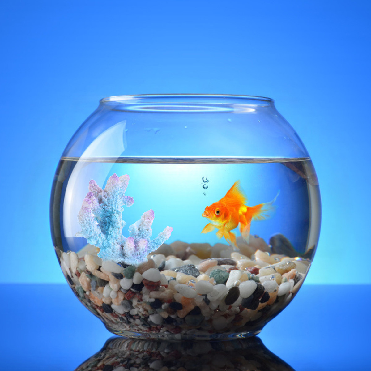 Xl-S1718 Ornamento de Aquário  - Xl Aquarium Fish avaliação e preço