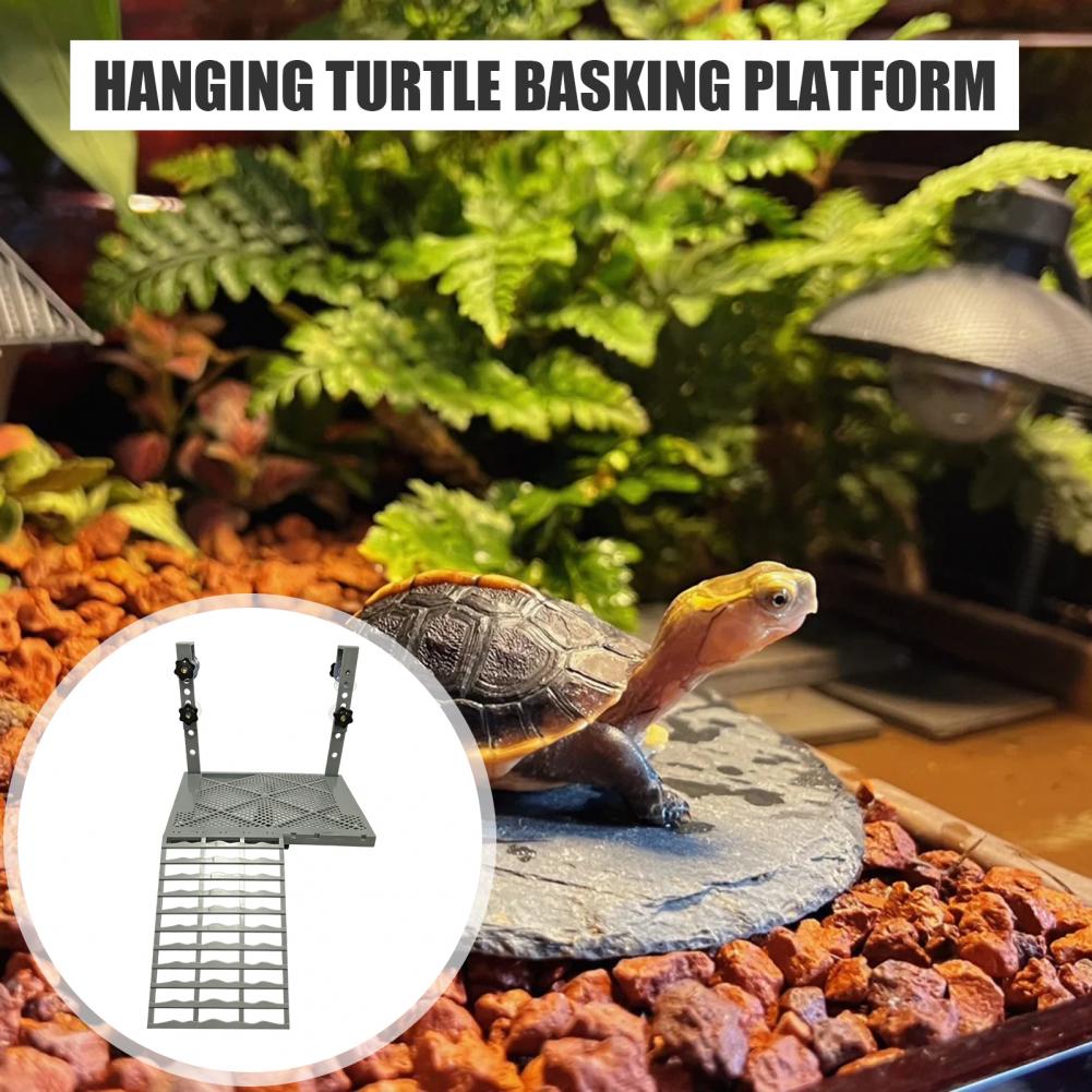 Decoração para Aquário, Plataf - Aquarium Fish Gallery avaliação e preço