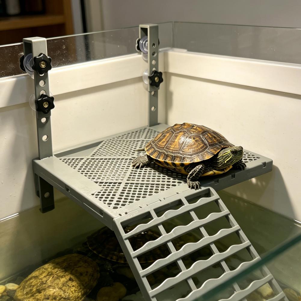 Decoração para Aquário, Plataf - Aquarium Fish Gallery avaliação e preço