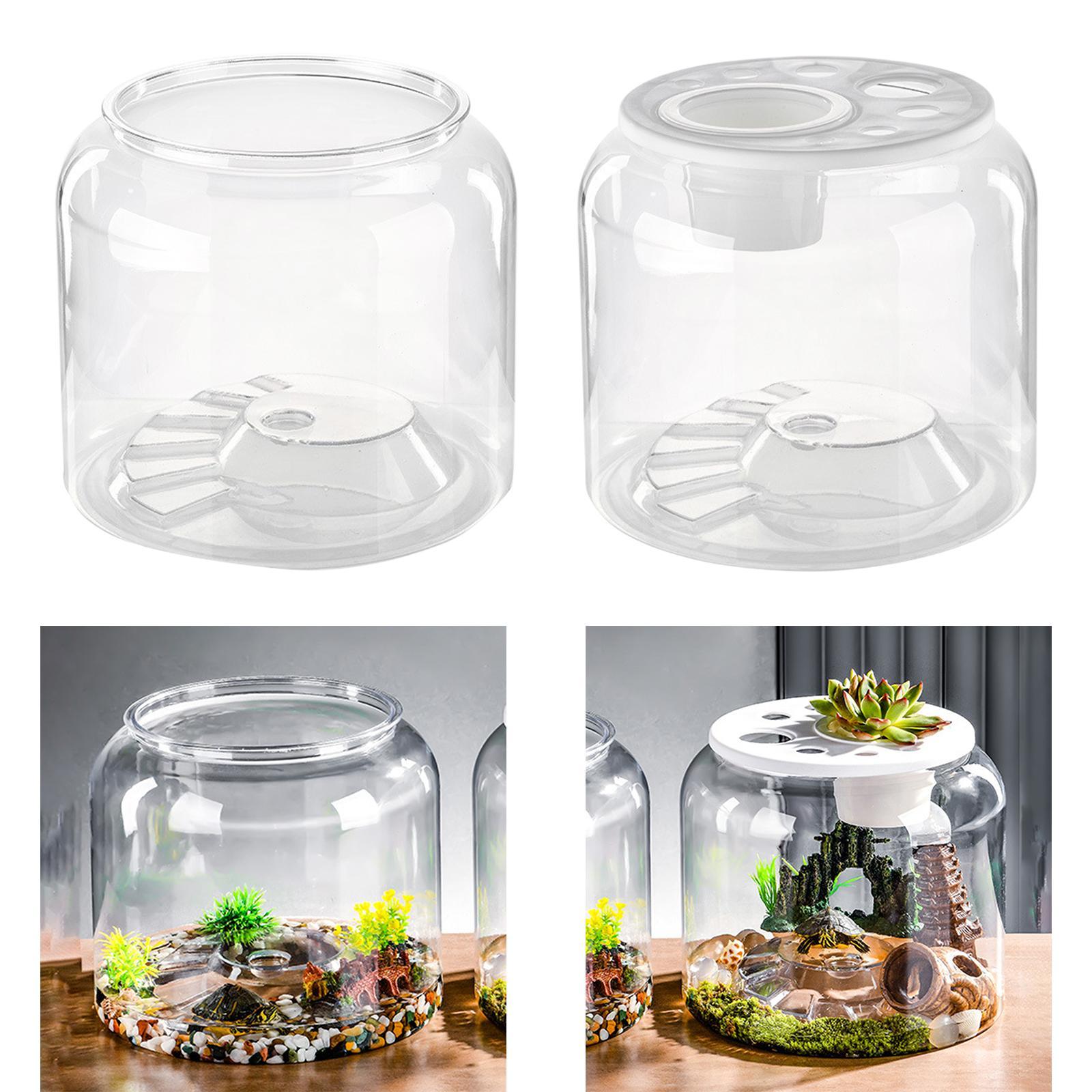 Aquário Transparente de Alta C - Draw Fish Aquarium avaliação e preço